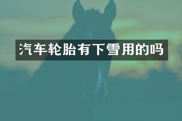 汽车轮胎有下雪用的吗