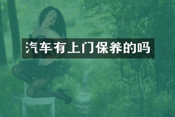汽车有上门保养的吗