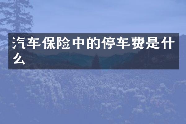 汽车保险中的停车费是什么