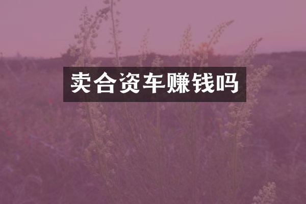 卖合资车赚钱吗