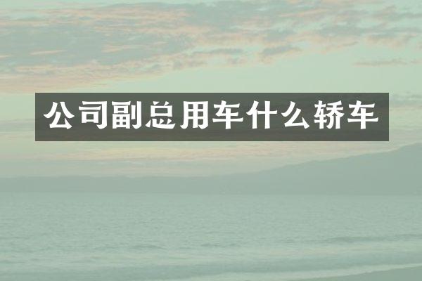 公司副总用车什么轿车