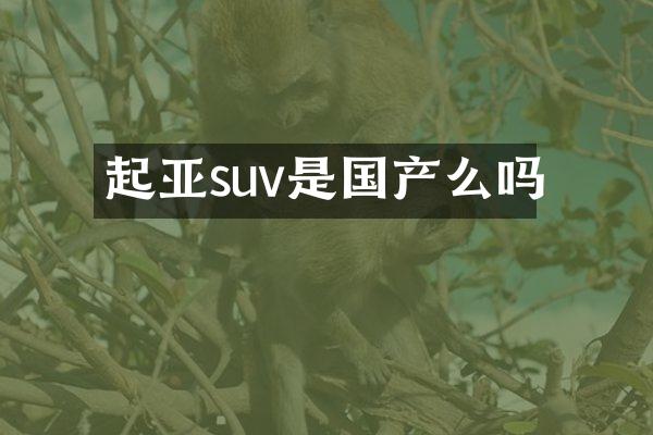 起亚suv是国产么吗