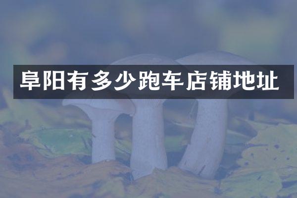 阜阳有多少跑车店铺地址