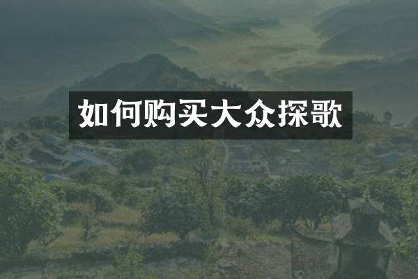 如何购买大众探歌
