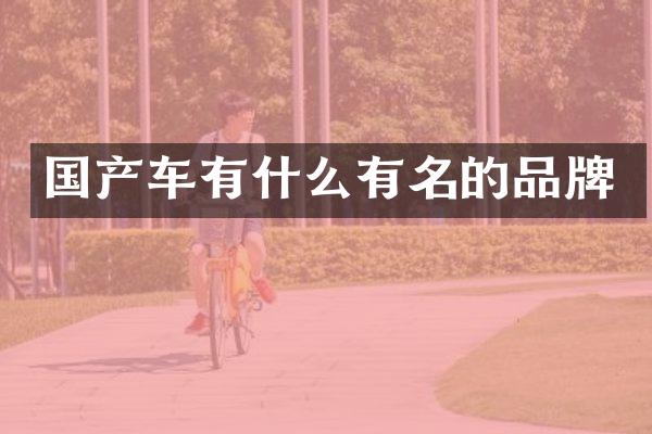 国产车有什么有名的品牌