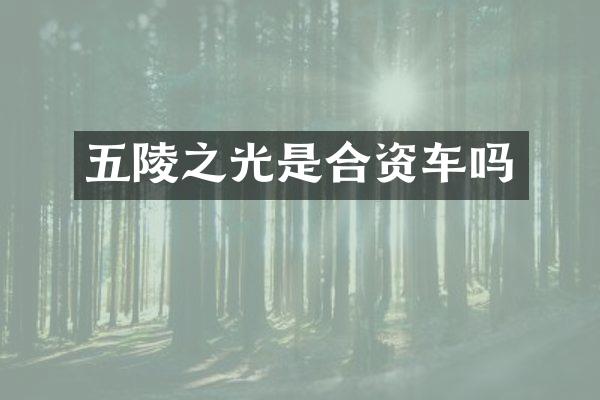 五陵之光是合资车吗
