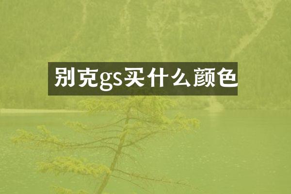 别克gs买什么颜色