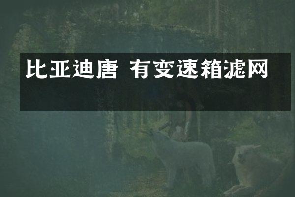 比亚迪唐 有变速箱滤网吗