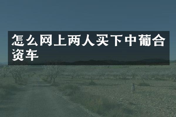 怎么网上两人买下中葡合资车