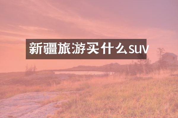 新疆旅游买什么suv