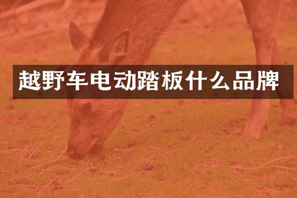 越野车电动踏板什么品牌