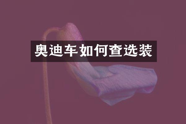 奥迪车如何查选装