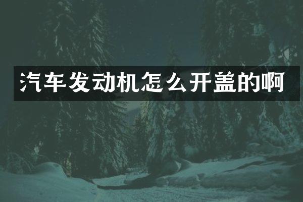 汽车发动机怎么开盖的啊