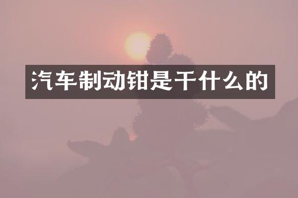 汽车制动钳是干什么的