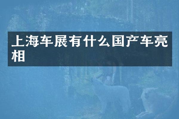 上海车展有什么国产车亮相
