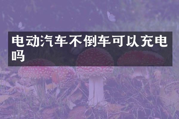 电动汽车不倒车可以充电吗