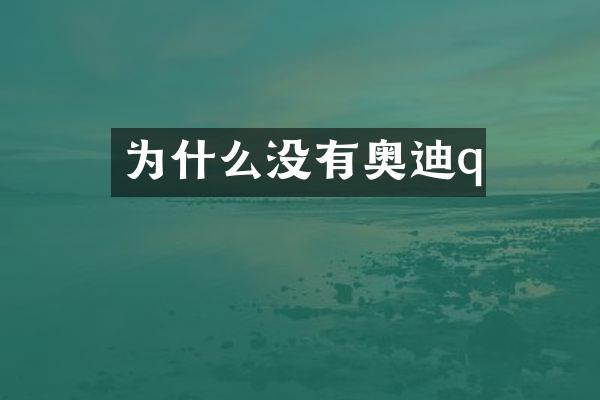 为什么没有奥迪q