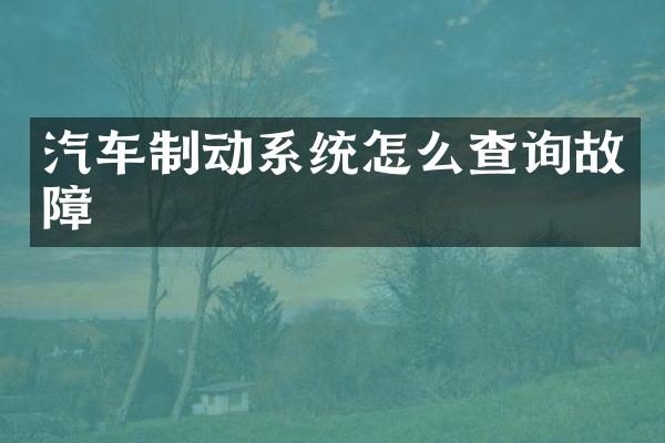 汽车制动系统怎么查询故障