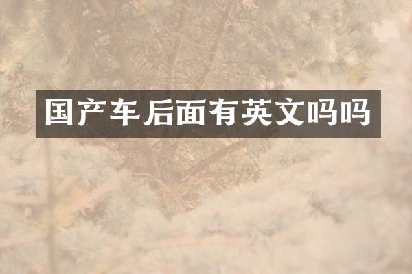 国产车后面有英文吗吗