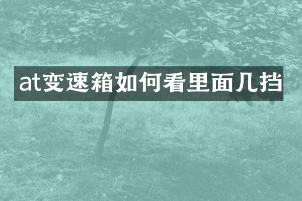 at变速箱如何看里面几挡