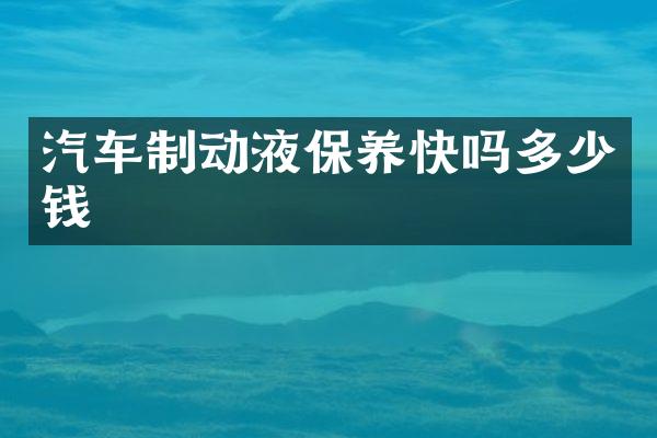 汽车制动液保养快吗多少钱