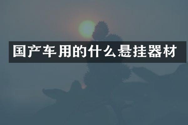 国产车用的什么悬挂器材
