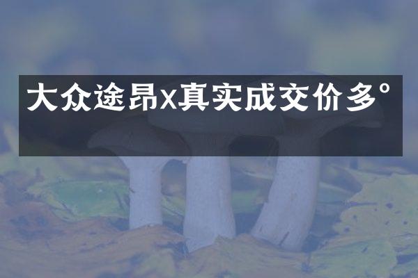 大众途昂x真实成交价多少
