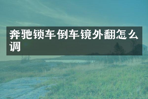 奔驰锁车倒车镜外翻怎么调