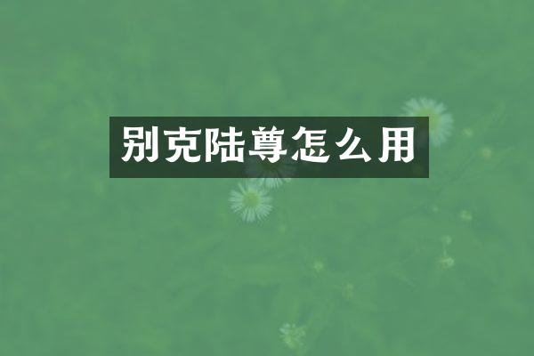 别克陆尊怎么用