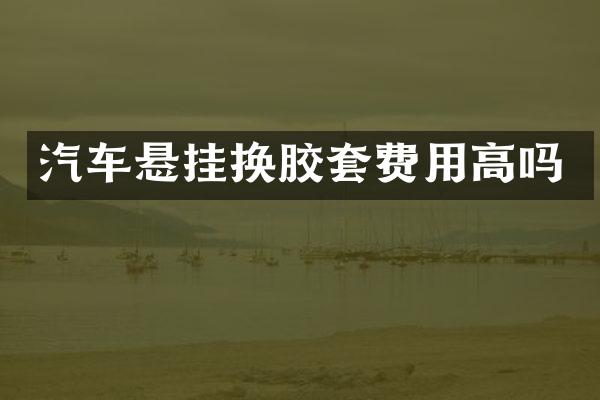 汽车悬挂换胶套费用高吗