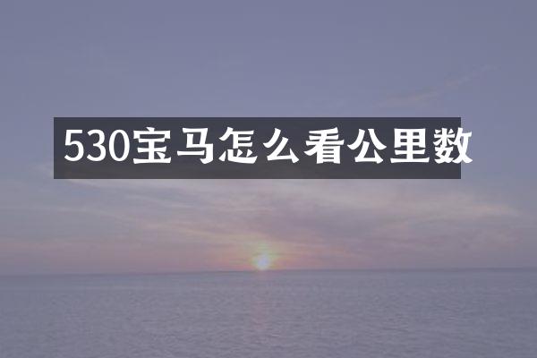 530宝马怎么看公里数