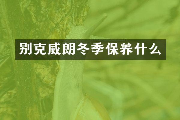别克威朗冬季保养什么