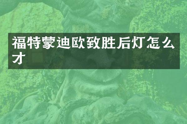 福特蒙迪欧致胜后灯怎么才