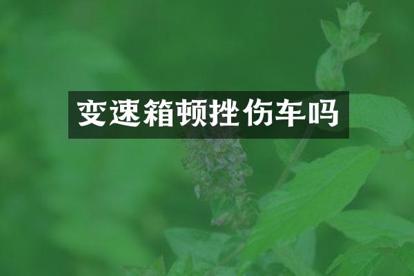 变速箱顿挫伤车吗