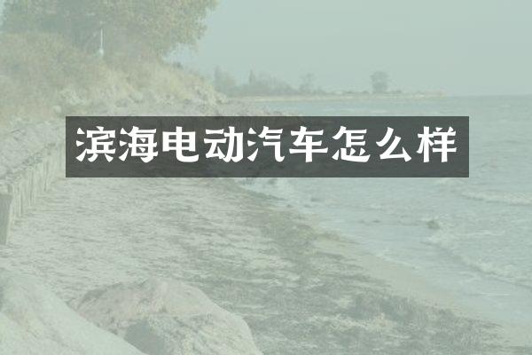 滨海电动汽车怎么样