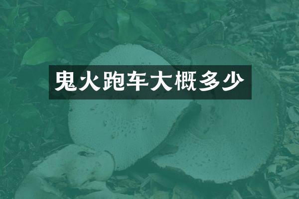 鬼火跑车大概多少