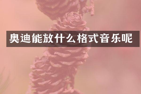 奥迪能放什么格式音乐呢