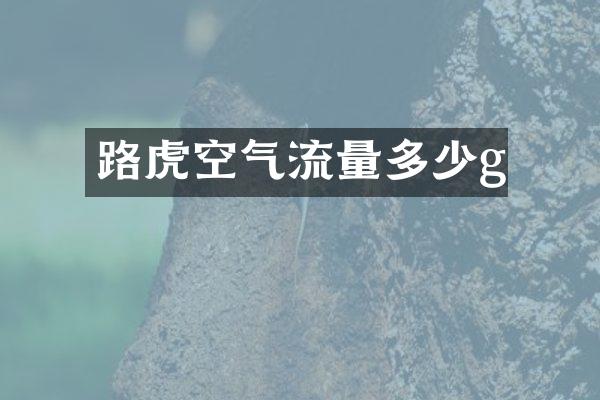 路虎空气流量多少g
