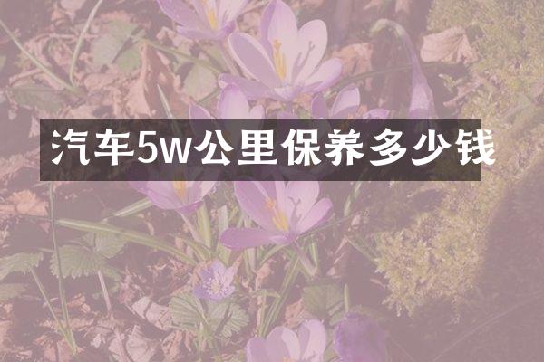 汽车5w公里保养多少钱