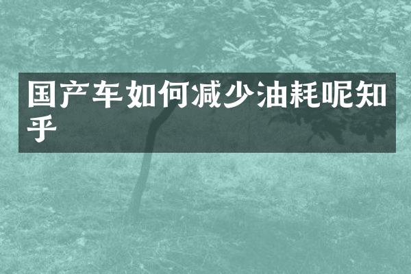 国产车如何减少油耗呢知乎
