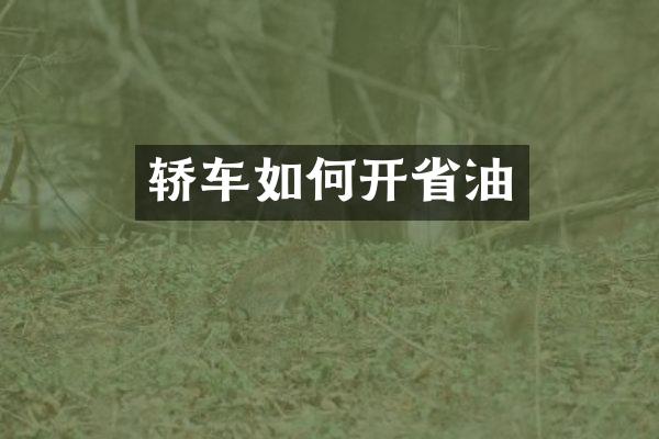 轿车如何开省油