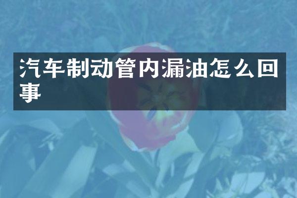 汽车制动管内漏油怎么回事