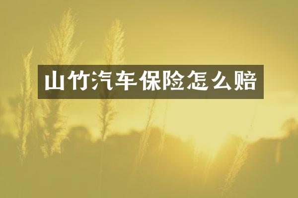 山竹汽车保险怎么赔