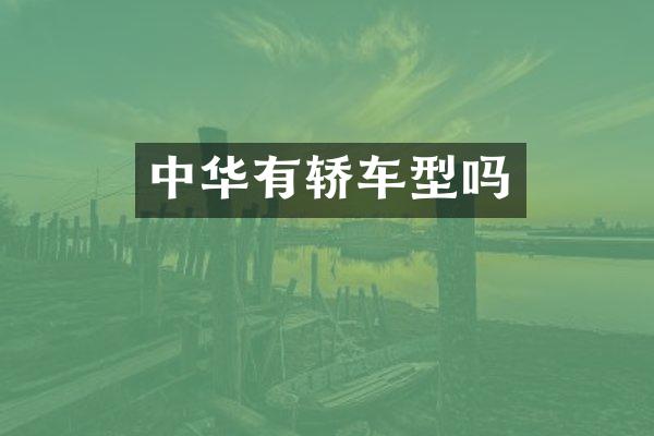 中华有轿车型吗