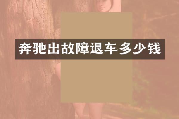 奔驰出故障退车多少钱
