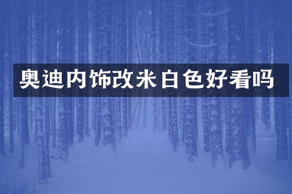 奥迪内饰改米白色好看吗