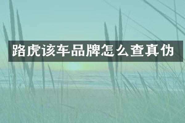 路虎该车品牌怎么查真伪