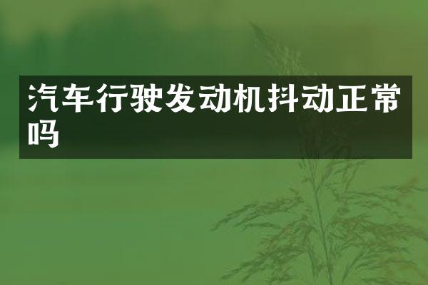 汽车行驶发动机抖动正常吗