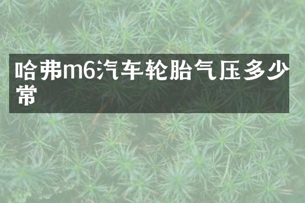 哈弗m6汽车轮胎气压多少正常