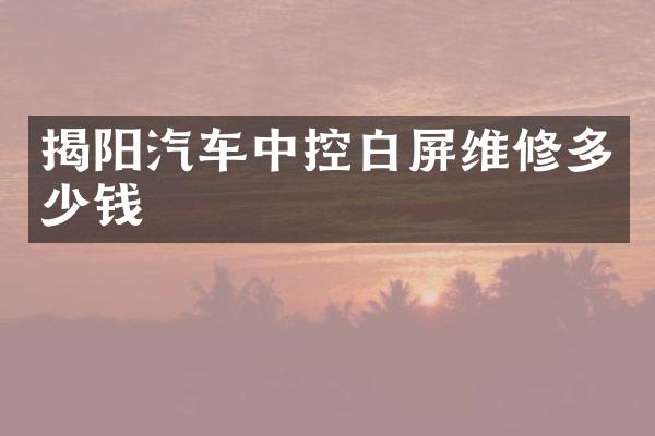 揭阳汽车中控白屏维修多少钱